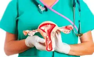 ginecología endocrina
